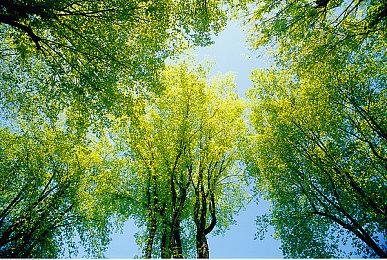 《忍者龙剑传4》已开发了70-80% 目前处于打磨阶段